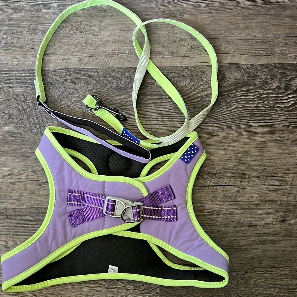 Dogs harness with leash